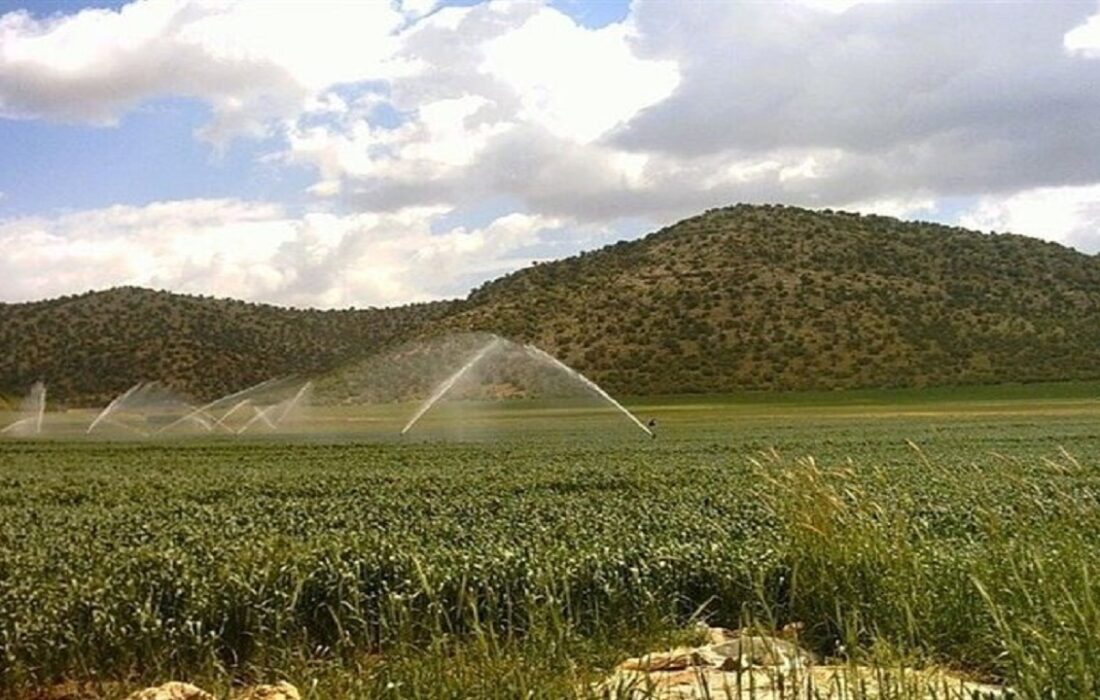 اجرای سامانه‌های نوین آبیاری در سطح ۳ میلیون و ۲۰۰ هزار هکتار اراضی